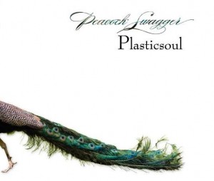Palsticsoul.portada