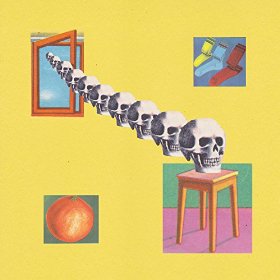 The Skygreen Leopards cover